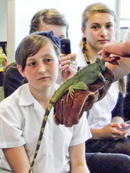 Rain forest day 2011